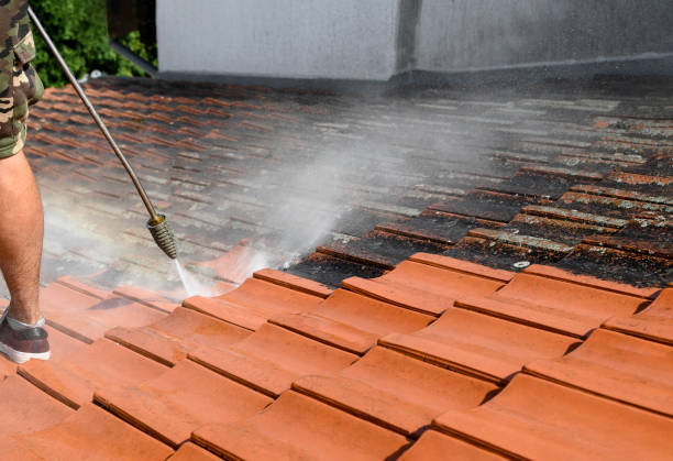 Best Pressure Washing Company Near Me  in Atkinson, NE