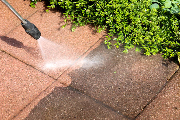 Best Pressure Washing Near Me  in Atkinson, NE